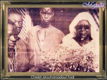 serigne fallou mbacke
